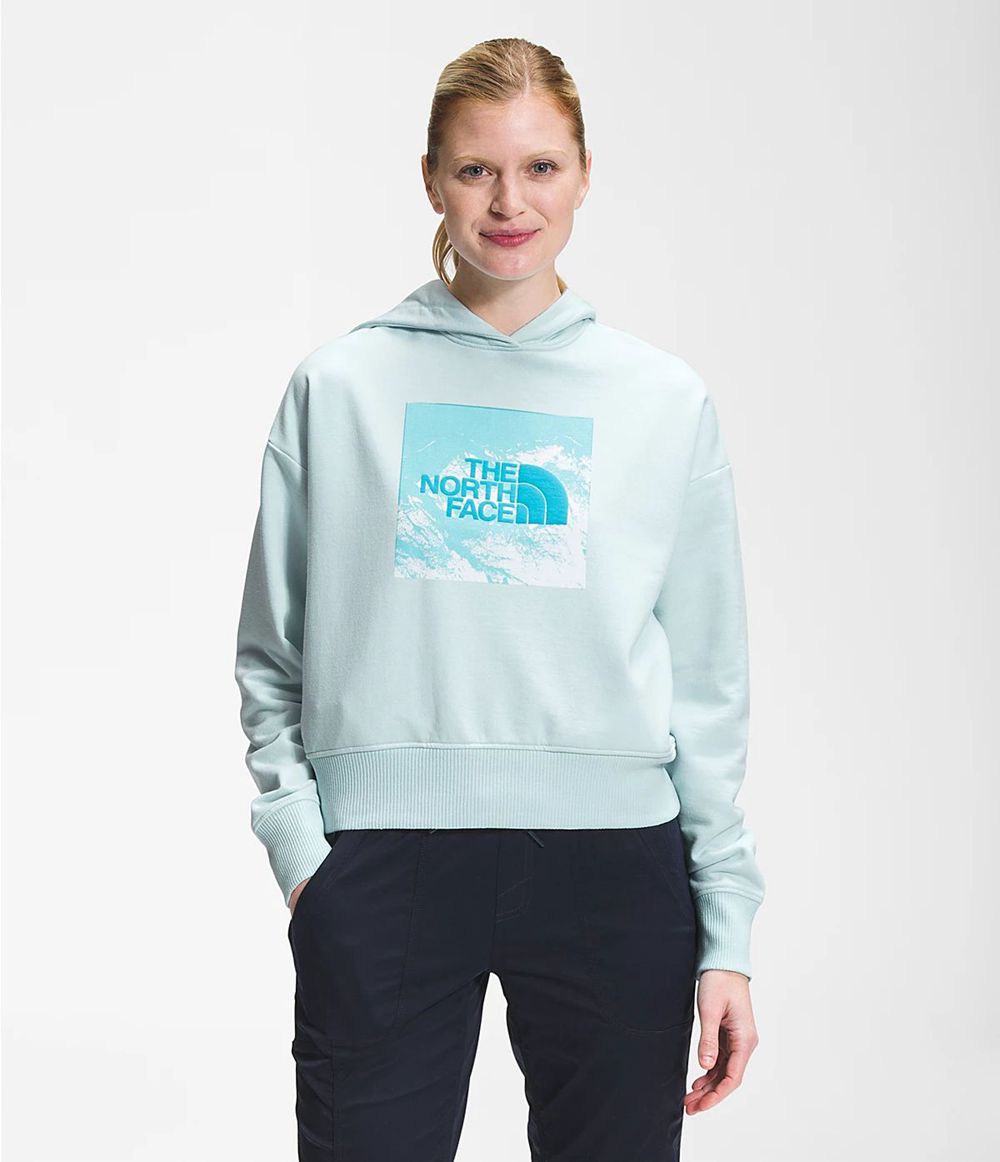 The North Face Logo Play Kapuzenpullover Damen - Blau CH-118WNXM